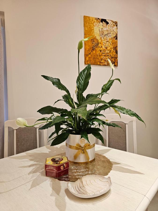 Studio Apartmani Vukasin Tivat Dış mekan fotoğraf